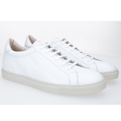 D604-T08 CIERVO BLANCO