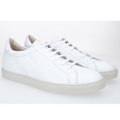 D604-T08 CIERVO BLANC