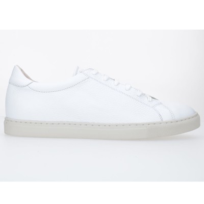 D604-T08 CIERVO WHITE